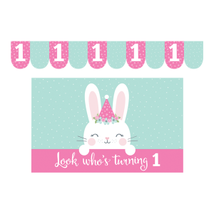 Birthday Bunny, Комплект за детско столче