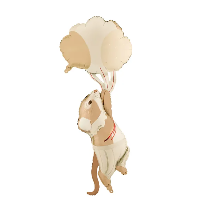 Фолиев балон Мишле с балони