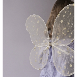 Тюлени Фейски Криле