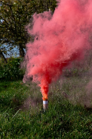 Цветен пушек, Розов